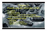 Chapter 3: Fossils and the diversity of lifefaculty.chas.uni.edu/~groves/EHCh03lecture.pdf · Earth History, Ch. 3 1 Chapter 3: Fossils and the diversity of life • Art objects •