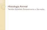 Histologia Animal - pessoal.educacional.com.brpessoal.educacional.com.br/up/4660001/9842654/Tecido Epitelial.pdf · Histologia Animal Author: User Created Date: 2/20/2013 12:37:30