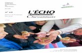L ÉCHO - Chevannes · 2019-05-27 · l’utilisation de matériaux bio sourcés. Les Chevannais ont pu le constater, les ateliers municipaux sont en bois et en paille ! L’inauguration