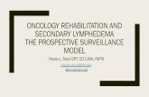 ONCOLOGY REHABILITATION AND SECONDARY LYMPHEDEMA …2018ilfconference.org/fileadmin/user_upload/Nicole_Stout__Onc_Reh… · group (15.1%) – Initiating PSM ... Journal of personalized