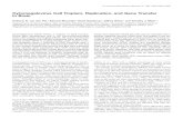 Cytomegalovirus Cell Tropism, Replication, and Gene ... · Cytomegalovirus Cell Tropism, Replication, and Gene Transfer in Brain Anthony N. van den Pol,1 Edward Mocarski,3 Noah Saederup,3