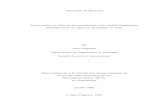 Université de Montréal Structuration et mise en jeu procédurale …olst.ling.umontreal.ca/pdf/PolguerePhD1990.pdf · construction de véritables règles déclaratives de correspondance