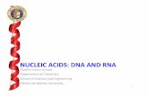 NUCLEIC ACIDS: DNA AND RNA...Nucleic Acids are important for their roles in the storage, transfer and expression of genec informaon. 6 TYPES OF RNA • mRNA ‐ Messenger RNA • tRNA