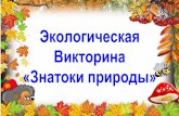 1 тур «Разминка» - nsportal.ru...2017/01/15  · живет, налетит -деревья гнёт Вопрос команде «радуга» Кто в лесу без