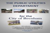 ANNUAL REPORT FYE 2013 · 2020-07-15 · Treatment, Mapping, Utility Compliance, and Utility Billing. Also under the direction of Public Utilities are the city’s ... (digital mapping)