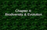 Chapter 4: Biodiversity & Evolutionmi01000971.schoolwires.net/cms/lib...Biodiversity & Evolution . Biologic Diversity (“biodiversity”) o Definition (review) o 4 Types of diversity