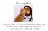 Perception - Weebly · Perception The process of organizing and interpreting information, enabling us to recognize ... Magic Eye •They would generate one image of uniform, randomly