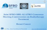 Joint SFBO-SBR-ALATRO Consensus Meeting …Análise de subgrupo: SG (RE negativo) 81.3% vs 73.9% (p=0.05) Serviço de Radioterapia - HIAE # Volumes da radioterapia: FSC Mamária interna
