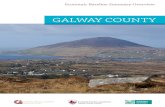GALWAY COUNTYgalwaydashboard.ie/publications/overview-summary-county... · 2015-07-21 · Galway County can be separated into 5 electoral areas; Ballinasloe, Connemara, Loughrea,