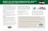 2020-21 MAINE MIGRATORY GAME BIRD QUICK REFERENCE GUIDE€¦ · hunting on a junior license may hunt on a youth day, but need a Federal duck stamp. Migratory waterfowl permits are