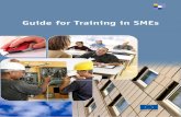Guide for Training in SMEs - Apprenticeship Alliances€¦ · Guide for Training in SMEs. This publication is supported under the European Community programme for employment and social