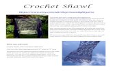 Crochet Shawl - WordPress.com · For my shawl I did: Chart A Chart B Chart A Chart B plus rows 1- 10 Chart A Chart B Chart A Don’t forget to make an extra one (two) stitches at