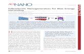 Triboelectric Nanogenerators for Blue Energy Harvestingnesel.skku.edu/paper files/180.pdf · Triboelectric Nanogenerators for Blue Energy Harvesting Usman Khan† and Sang-Woo Kim*,†,‡