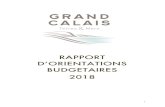 RAPPORT D’ORIENTATIONS BUDGETAIRES 2018 · 2019-06-04 · constant de 2017. La CFE quant à elle est de 17,9 M€ pour 2017, elle est estimée à 18M€ pour l’année à venir.
