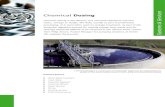 Chemical Dosing Systems & Services - Verder Liquids · The dosing process A chemical dosing skid is the most effective way to dispense chemicals, using at least two peristaltic or