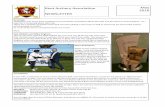 Kent Archery Association May 2016 NEWSLETTER · May 2016 Greetings, ... now have a Sunday off but as the event was asked for by Bare Bow and Long Bow archers it was very disappointing.