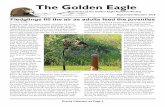 The Golden Eagle 2018.pdfhave given to GEAS since June: Denise Weis, Alex Takasugi, Sue Norton, Ken Johnson. Remembering Colleen Harden Colleen Harden, a former Golden Eagle Audubon