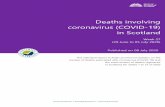 Deaths involving coronavirus (COVID-19) in Scotland€¦ · Deaths involving COVID-19 accounted for 2% of all deaths registered in week 27. This proportion has fallen steadily from