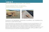 Impact of Wildlife-Vehicle Conflict on California Drivers ... · This report includes maps of WVC hotspots, discusses impacts to wildlife and people from WVC, and ranks highways in