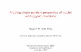 Probing single-particle properties of nuclei with (p,pN · Probing single-particle properties of nuclei with (p,pN) reactionsNguyen Tri Toan Phuc Reaction Seminar Series 2020 reactionseminar.github.io