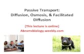 PassiveTransport: Diﬀusion,’Osmosis,’&’Facilitated ...abramsbiology.weebly.com/uploads/1/7/9/4/17947115/cellular_trans… · Passive%transport:%Facilitated%diﬀusion% For%various%reasons%(size,%charge,%polarity,%etc.),%