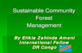 Sustainable Community Forest Management · Mzee Kabilia Lumumba. President Kabilia Mobutu. DRC Statistics GDP per person = $300 per capita 250 ethnic groups Languages: mainly French