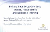 Indiana Fatal Drug Overdose Trends, Risk Factors and Naloxone Training · 2019-03-13 · and Naloxone Training Raven Helmick, Prescription Drug Overdose Epidemiologist Audrey Rehberg,
