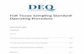 Fish Tissue Sampling Standard Operating Procedure · 2020-07-17 · Sampling of fish tissue involves a comprehensive process beginning with project planning and continuing through