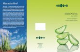 What is Aloe Vera?static.essensworld.com/public/aloe-vera-catalogue_en.pdf · The TOTALOE process Enables us to process Aloe Vera juice without losing any of the 200 active compounds