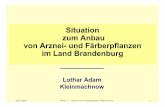 Situation zum Anbau von Arznei- und Färberpflanzen im Land … · 2017-09-08 · 30.01.2009 Adam, L. - Arznei- und Färberpflanzen- Altenkirchen 2 Land Brandenburg Landwirtschaftliche
