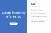Utah State University Genetic Engineering · This is a project resulting from the “Genetic Engineering Workshop for Teachers” to provide teaching materials for genetic engineering