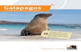 Galapagos - Hannibal · 2017-03-10 · I byen Puerto Ayora, Galapagos-øernes største by, ligger Darwin for-skningsstationen, hvor biologer fra hele verden forsker i Galapagos-øernes