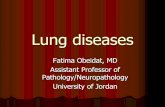 Lung diseases - Med Study Groupmsg2018.weebly.com/uploads/1/6/1/0/16101502/respiratory... · 2019-08-03 · Lung diseases Fatima Obeidat, MD Assistant Professor of Pathology/Neuropathology