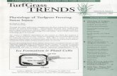 TurfGrass TRENDSarchive.lib.msu.edu/tic/tgtre/article/1997feb1a.pdfgrain research that can only be extrap-olated cautiously to turfgrass systems (DiPaola and Beard, 1992) Annua. l