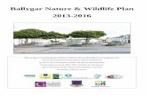 Ballygar Nature & Wildlife Plan 2013-2016€¦ · The final plan produced ... places and habitats in and around Ballygar where nature and wildlife thrive. Aghrane Wood . ... especially