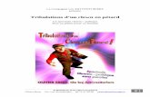 Dossier Tribulations d'un Clown en Pétard · 2018-01-25 · - « Robotank » de Chapi Chapo et les petites musiques de pluie - « Fifty days black » de Chapi Chapo et les petites