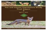 Fox and Coyote Populations Study Final Report · PDF file 2. establish fox population control measures in areas where State Health Director has notified the Commission of the presence