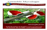 Bulletin de la Société Mycologique du DauphinéGrenoble Mycologie Numéro 6 - Janvier 2015 Bulletin de la Société Mycologique du Dauphiné Société Mycologique du Dauphiné 24