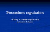 -Kidney is a major regulator for potassium . ... Potassium regulation 2) kidney management remember that clearance of potassium is about15 ml\min (depends on the K+ intake) Potassium