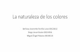 La naturaleza de los colores · La naturaleza de los colores Bethany Jeannette Portillo Leiva 00123013 Diego Josué Ávalos 00214916 Miguel Ángel Palacios 00158114. Frío Nikon D3400.
