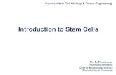 Introduction to Stem Cells - Bharathidasan UniversityCourse :Stem Cell Biology & Tissue Engineering 1998 - Researchers first extract stem cells from human embryos 1999 - First Successful