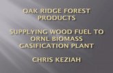 Oak Ridge Forest Products Supplying Wood Fuel to ORNL ......Biomass Supply Usage estimated at 6-8 truckloads/day Varying Demand Levels Procurement Area - Supply/Cost procurement limitations