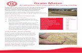 Grain Maize - LG Seeds · 2015-08-20 · Grain Maize An attractive cash crop option for spring sowing Replacing cereals with maize this spring-sowing season could prove an attractive