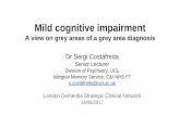 Mild cognitive impairment · Mild cognitive impairment A view on grey areas of a grey area diagnosis Dr Sergi Costafreda ... beyond the binary diagnosis of the presence or absence