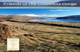 Friends of the Columbia Gorge · 2020-05-18 · Gorge Geology Page 4 Public Lands Legacy Page 8 Insert: Spring/Summer Hiking Brochure. Friends of the Columbia Gorge Founder Nancy