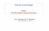 Aula de enzimologia Tema Purificação de proteínassistemas.eel.usp.br/docentes/arquivos/427823/LOT2007/E-Purificaca… · Aula de enzimologia Tema Purificação de proteínas Dra.