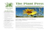 The Plant Press - Arizona Native Plant Society · The Sonoran Desert Region is rich in plant diversity, and rich in plants used for indigenous cuisine. Dozens of such wild plants