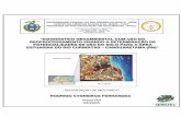 “DIAGNÓSTICO GEOAMBIENTAL COM USO DO GEOPROCESSAMENTO · 2017-11-02 · Geoprocessamento Visando a Determinação de Potencialidades de Uso do Solo Para a Área Estuarina do Rio