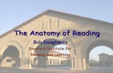 The Anatomy of Reading · Bob Dougherty Stanford Institute for Reading and Learning. SIRL Longitudinal Study of Reading Development • Behavioral assessment • Anatomical + Diffusion