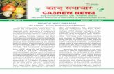 Vol. 18 No. 1 January - June 2013 - Cashew · Feni is a popular beverage from cashew apple but several other products like juice, ... lakh tonnes from 9.82 lakh ha of land with a